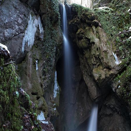 Casa Federica Daire Molina di Ledro Dış mekan fotoğraf
